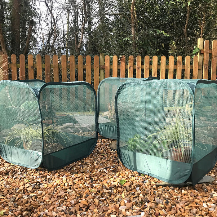 Buy MiniPop Pop-Up Mini Plant & Seedling Cover online UK