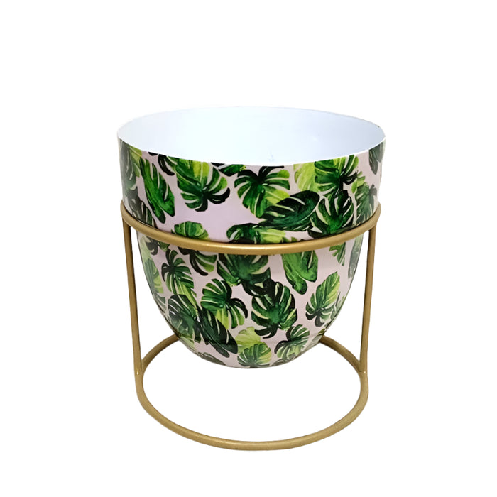 Buy Minster Monstera Leaf Planter with Stand online UK