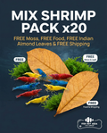 MIX Pack of Shrimps 20pk