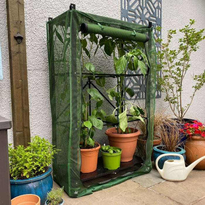 Buy Multiflex Net Patio Grow House & Plant Cover online UK