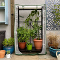Buy Multiflex Poly Patio Greenhouse & Plant Cover online UK