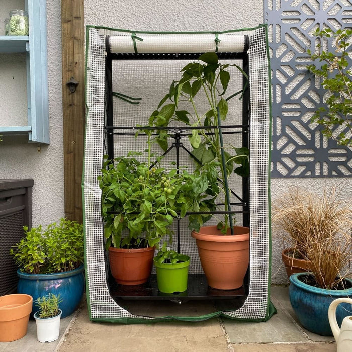 Buy Multiflex Poly Patio Greenhouse & Plant Cover online UK