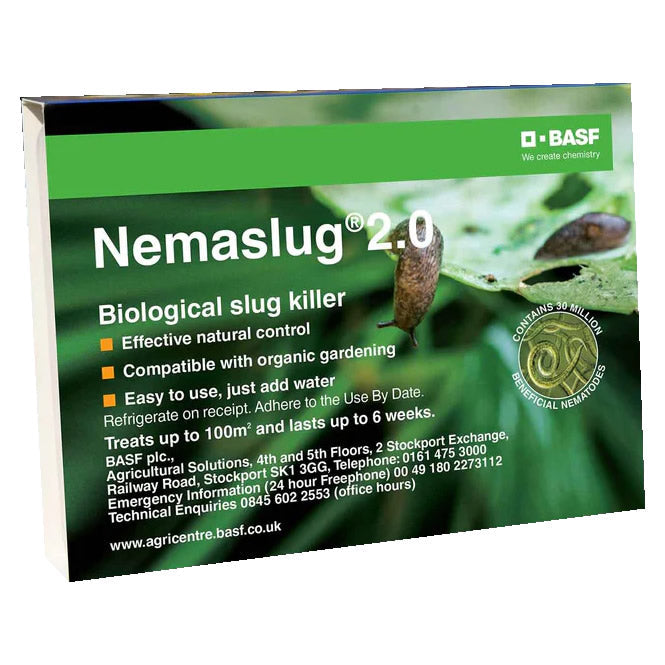 Buy Nemaslug 2.0 Biological Slug Killer (Parasitic Nematodes - Phasmarhabditis californica) online UK
