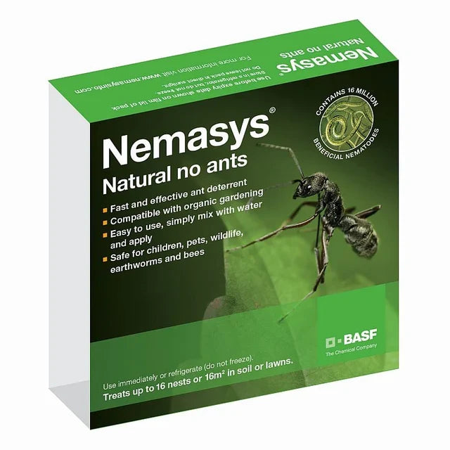 Nemasys Natural No Ants Nematodes (Steinernema feltiae) 16m pack