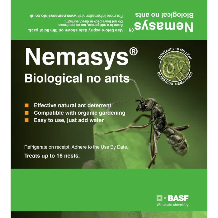 Nemasys Natural No Ants Nematodes (Steinernema feltiae) front packet