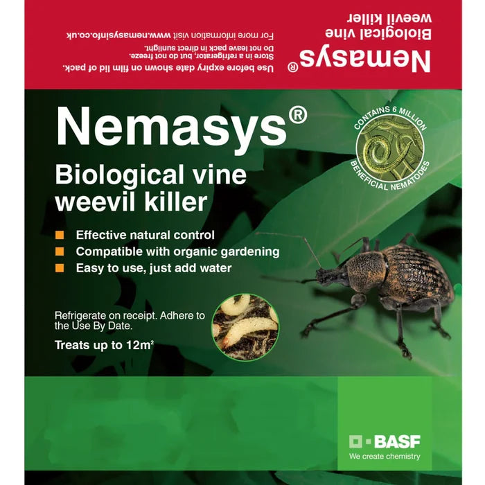 Buy Nemasys Natural Vine Weevil Killer online UK