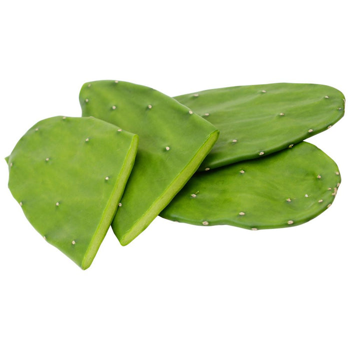 Buy Opuntia ficus-indica (Prickly Pear) Pads online UK