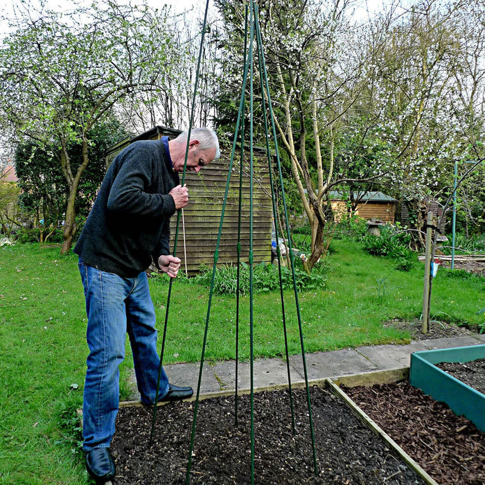 Buy Pea and Runner Bean Wigwam Teepee - Garden Support Frame Kit online UK