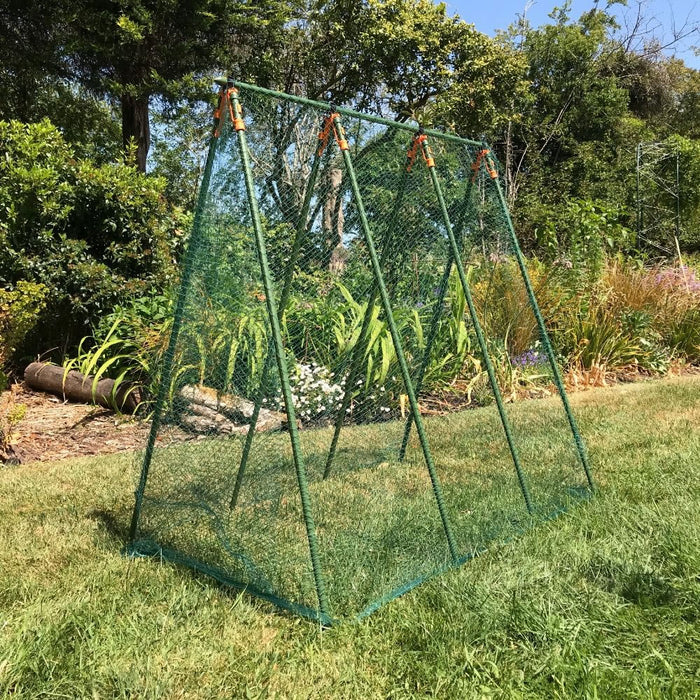 Buy Pea Master Heavy Duty Pea & Climbing Plant Support Frame online UK