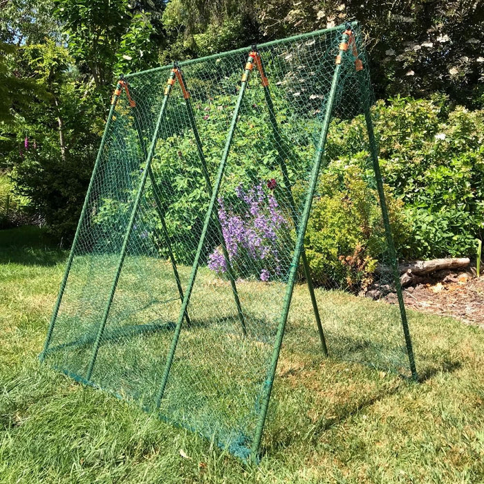 Buy Pea Master Heavy Duty Pea & Climbing Plant Support Frame online UK