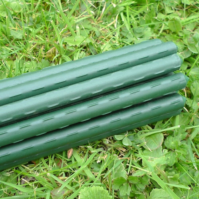 Buy Plant Stake & Tomato Support Garden Canes online UK