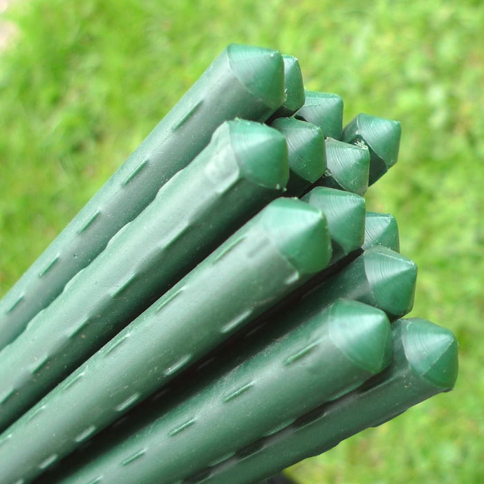 Buy Plant Stake & Tomato Support Garden Canes online UK