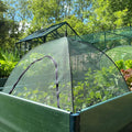 Buy Pop n Crop Plant Protection Umbrella Grow House & Raised Bed Cover online UK