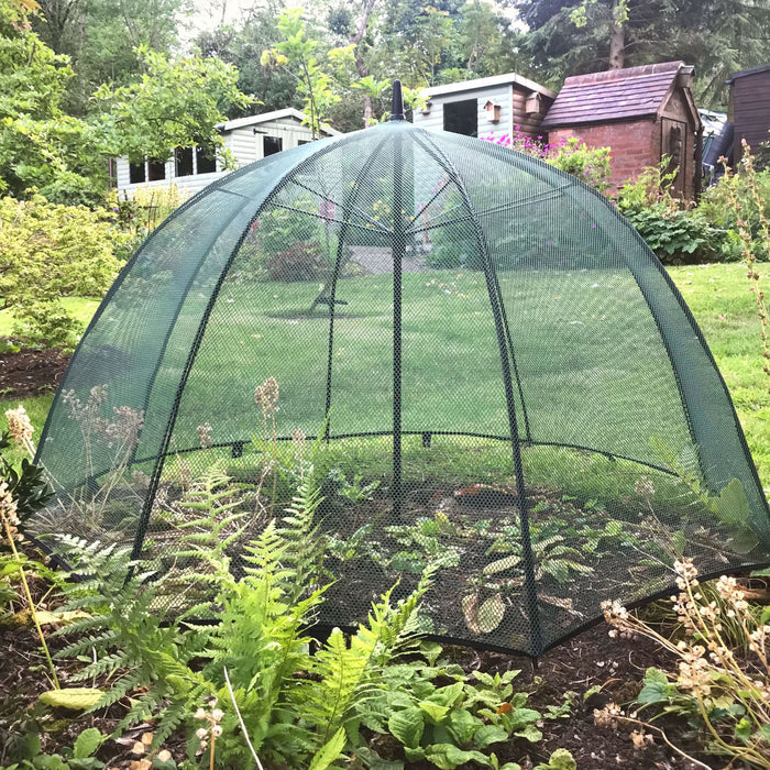 Buy Pop n Crop Umbrella Plant Cover online UK
