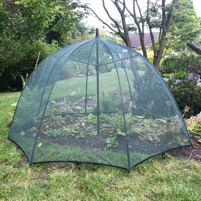 Buy Pop n Crop Umbrella Plant Cover online UK