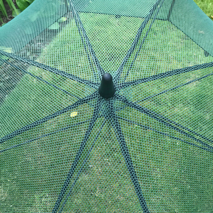 Buy Pop n Crop Umbrella Plant Cover online UK