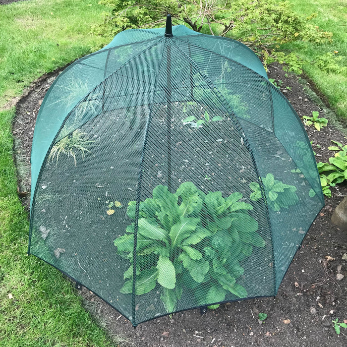 Buy Pop n Crop Umbrella Plant Cover online UK