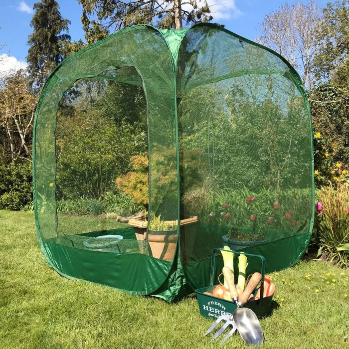 Buy Pop Up Cabbage & Brassica Vegetable Cage Plant Cover online UK