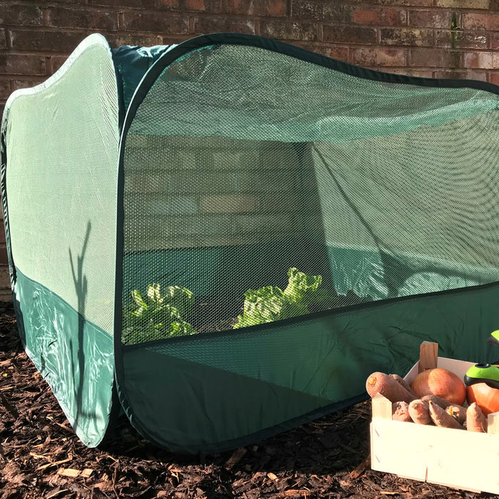 Buy Pop Up Fruit and Vegetable Cage Grow-House online UK