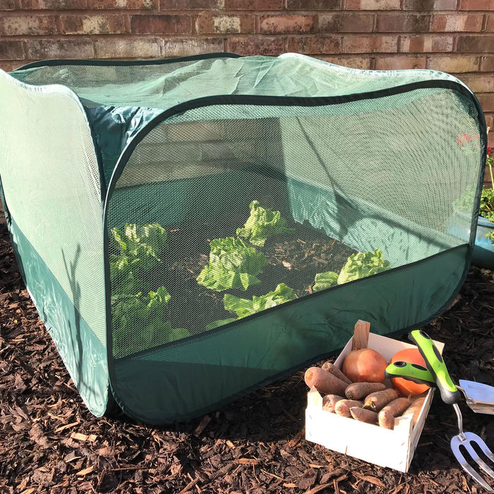 Buy Pop Up Fruit and Vegetable Cage Grow-House online UK