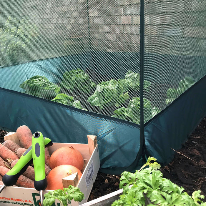 Buy Pop Up Fruit and Vegetable Cage Grow-House online UK