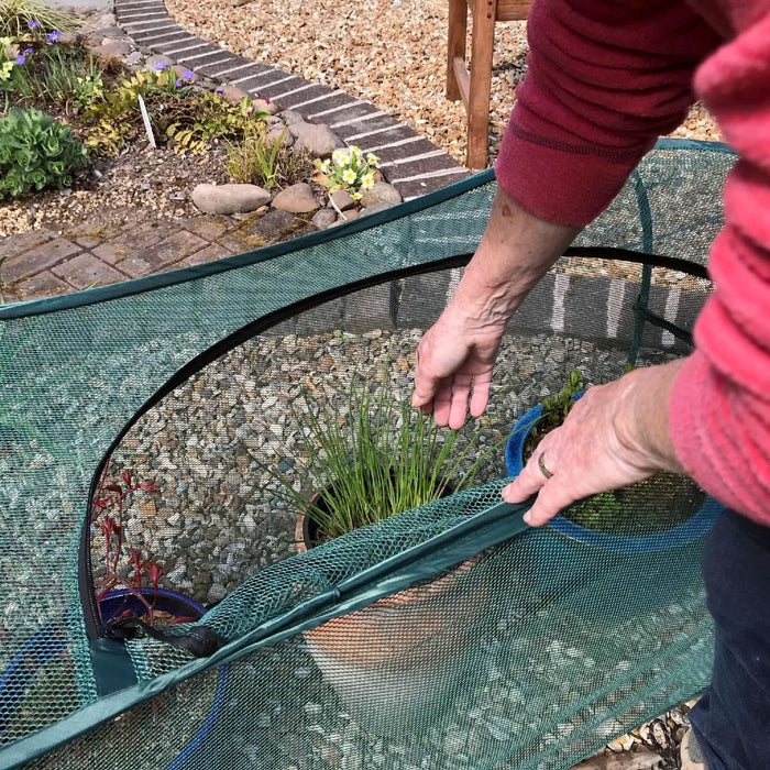 Buy Pop-Up Garden Plant Cover for Pots, Planters & Grow Bag Crops online UK