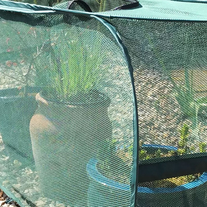 Buy Pop-Up Garden Plant Cover for Pots, Planters & Grow Bag Crops online UK