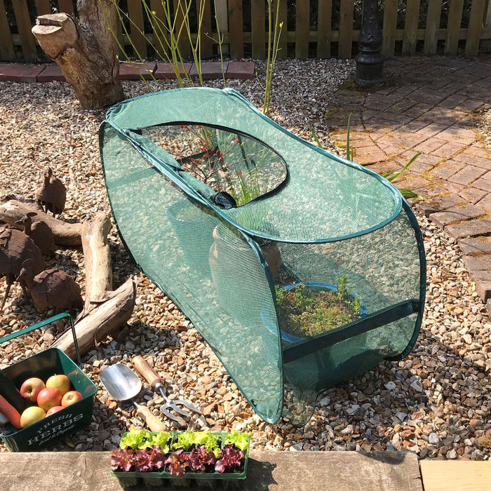 Buy Pop-Up Garden Plant Cover for Pots, Planters & Grow Bag Crops online UK