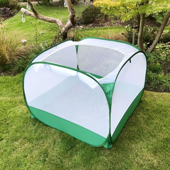 Buy Pop Up Insect Net Fruit Cage & Vegetable Protection Cover online UK