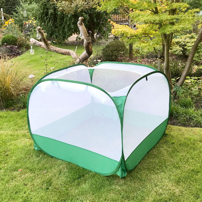 Buy Pop Up Insect Net Fruit Cage & Vegetable Protection Cover online UK