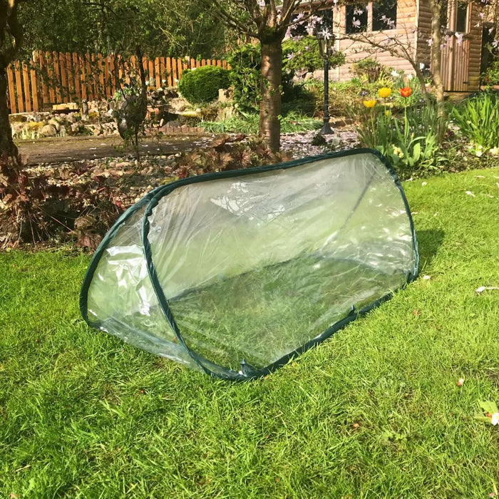 Buy Pop Up Mini Greenhouse & Polytunnel Cloche online UK