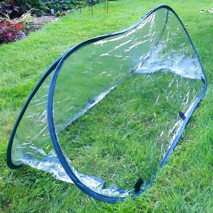 Buy Pop Up Mini Greenhouse & Polytunnel Cloche online UK