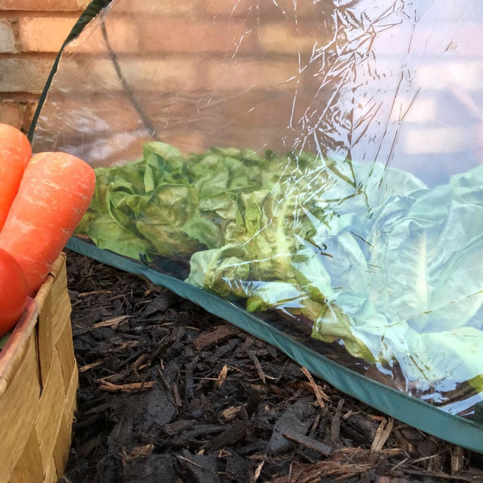 Buy Pop Up Mini Greenhouse & Polytunnel Cloche online UK
