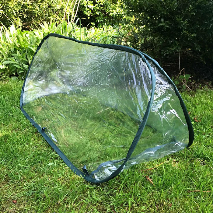 Buy Pop Up Mini Greenhouse & Polytunnel Cloche online UK