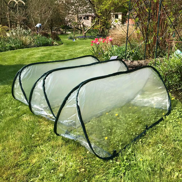 Buy Pop Up Mini Greenhouse & Polytunnel Cloche online UK
