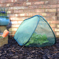 Buy Pop Up Mini Grow Triangular Tunnel & Vegetable Bed Cover online UK