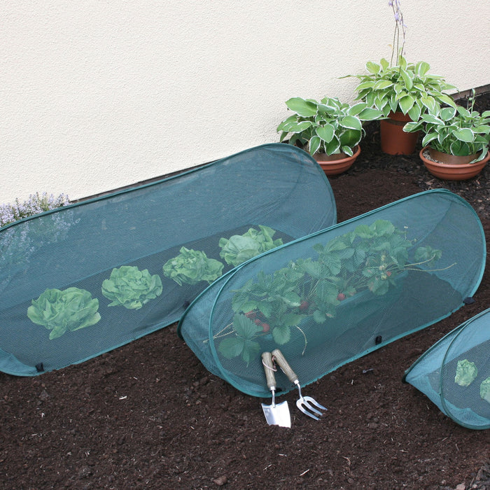Buy Pop Up Mini Grow Triangular Tunnel & Vegetable Bed Cover online UK