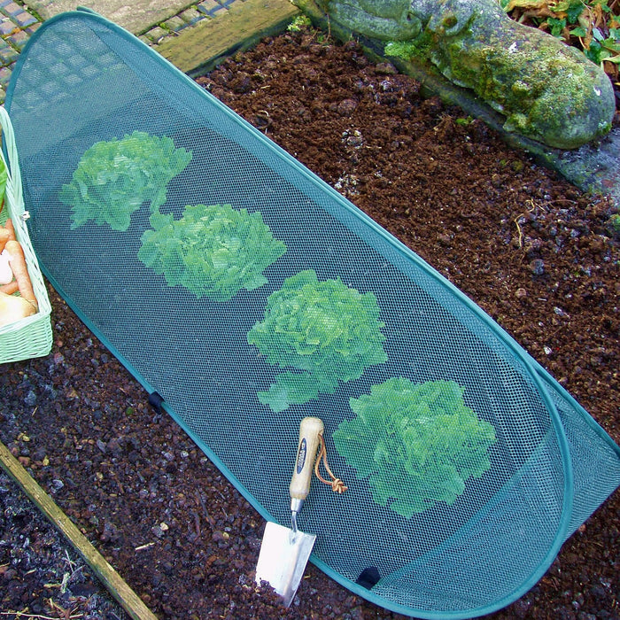 Buy Pop Up Mini Grow Triangular Tunnel & Vegetable Bed Cover online UK