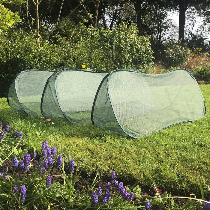 Buy Pop Up Mini Grow Triangular Tunnel & Vegetable Bed Cover online UK