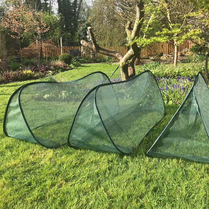 Buy Pop Up Mini Grow Triangular Tunnel & Vegetable Bed Cover online UK