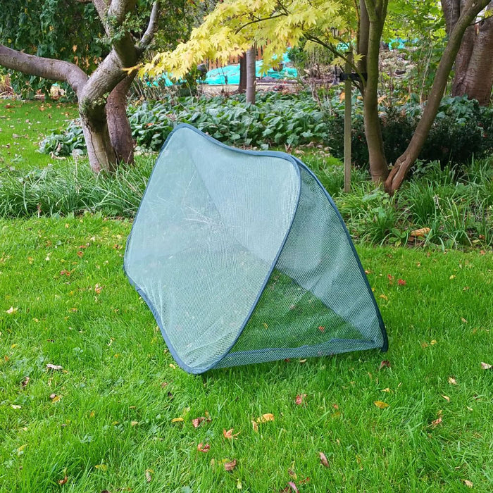 Buy Pop Up Mini Grow Triangular Tunnel & Vegetable Bed Cover online UK