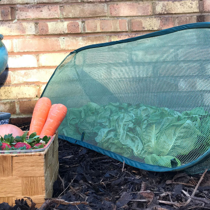 Buy Pop Up Mini Grow Triangular Tunnel & Vegetable Bed Cover online UK