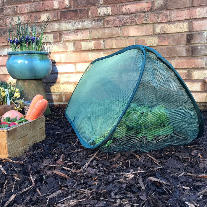 Buy Pop Up Mini Grow Triangular Tunnel & Vegetable Bed Cover online UK