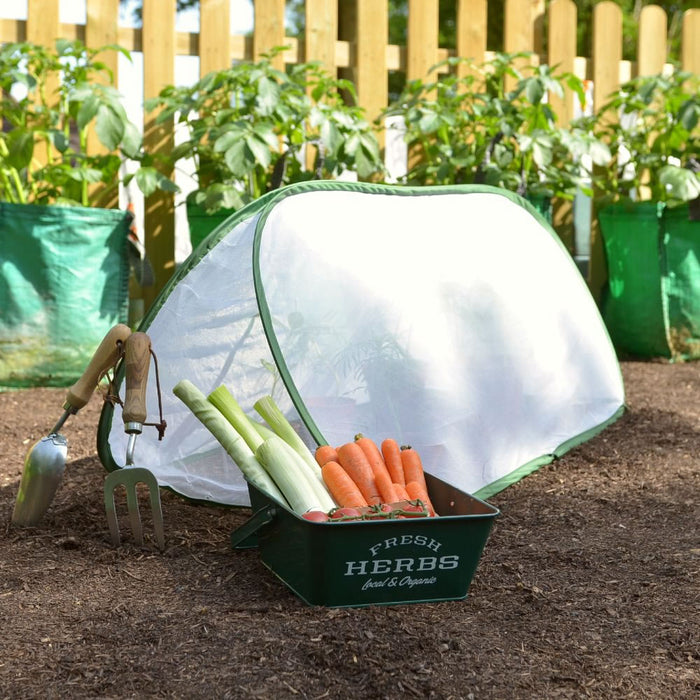 Buy Pop Up Mini Insect Mesh Grow Tunnel & Veg Bed Cover online UK