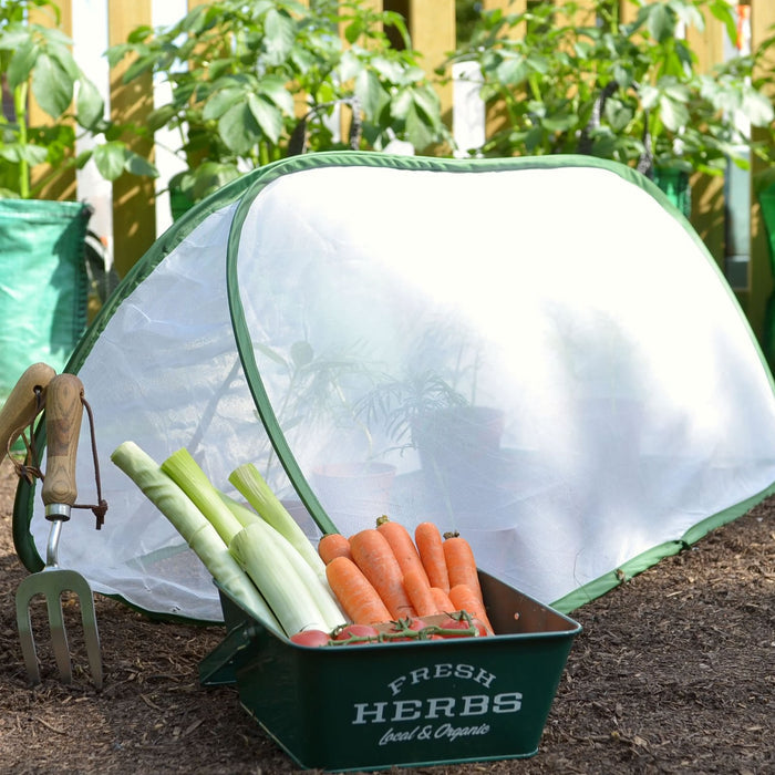 Buy Pop Up Mini Insect Mesh Grow Tunnel & Veg Bed Cover online UK