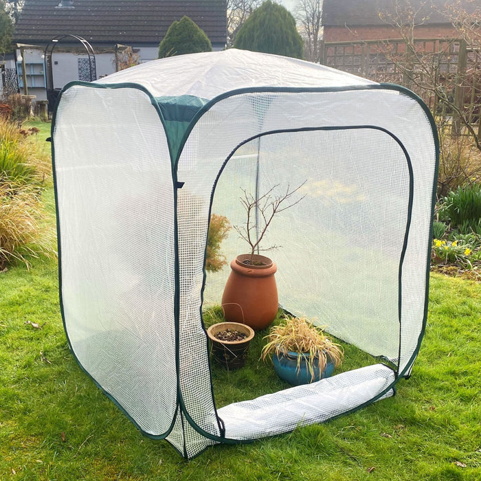 Buy Pop-Up Poly Greenhouse Plant Cover online UK
