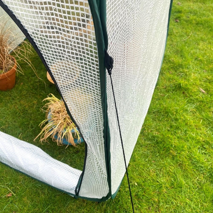 Buy Pop-Up Poly Greenhouse Plant Cover online UK