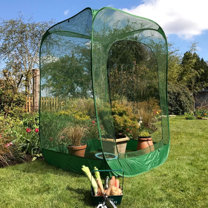 Buy Pop Up Raspberry Fruit Cage & Plant Cover online UK