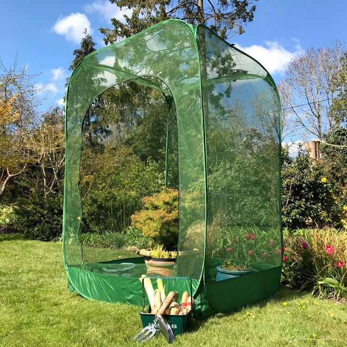 Buy Pop Up Raspberry Fruit Cage & Plant Cover online UK