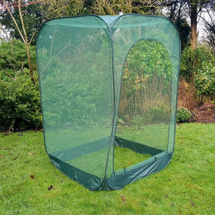 Buy Pop Up Raspberry Fruit Cage & Plant Cover online UK